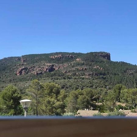 Au Pied Des Gorges Du Blavet Et A 20Min Des Plages Roquebrune-sur Argens Exteriér fotografie