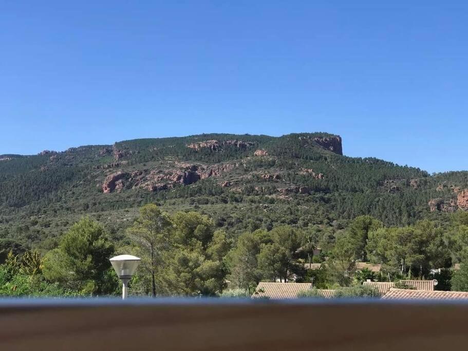 Au Pied Des Gorges Du Blavet Et A 20Min Des Plages Roquebrune-sur Argens Exteriér fotografie